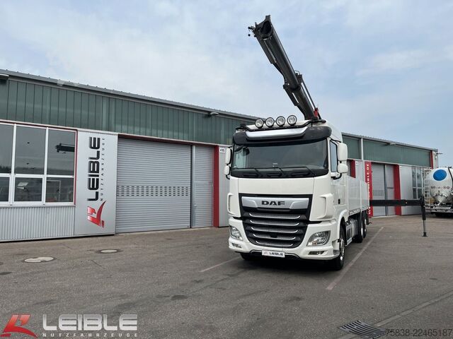 Grúa montada en camión DAF XF 480*Palfinger Kran*Lift/Lenkachse*394 TKM*
