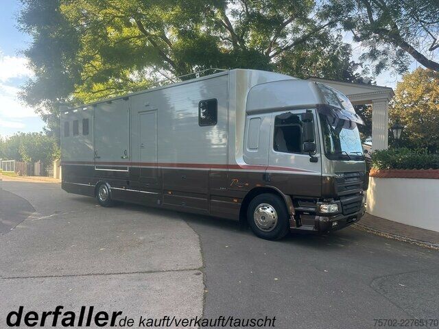 Fourgon DAF CF Roelofsen 6 Pferde Wohnung