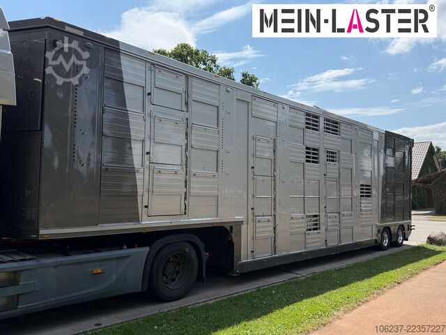 Poluprikolica za transport stoke Finkl 3 + 4 Stock/ Hubdach / Rampe / Tränke/Funk