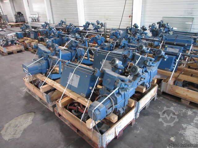Grúa monorraíl con polipasto de cadena en tándem Demag Doppel Kettenzug 5000KG Hallenkran Tandem Funk DC Pro 16-2500 5t H 6m Kran