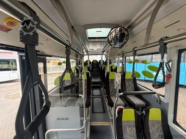 Autobús urbano MAN Midi 66 K  12/14   KLIMA  EURO 6   3-Punkt-Gurte
