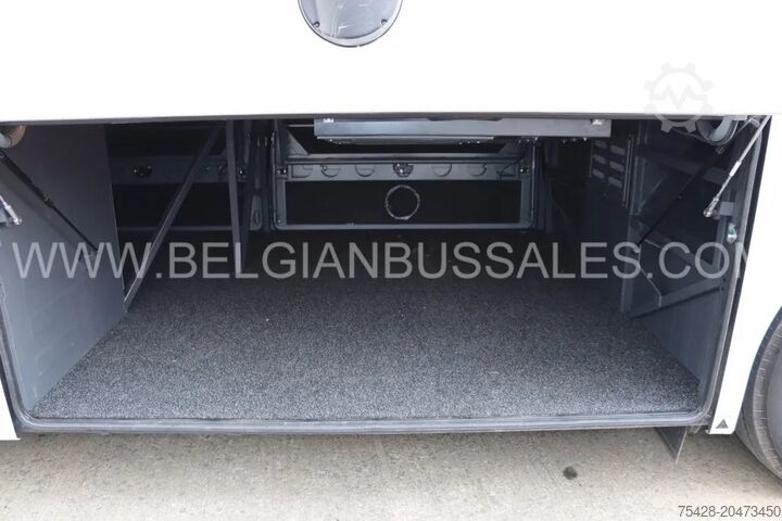 Coach MAN LION'S COACH R08