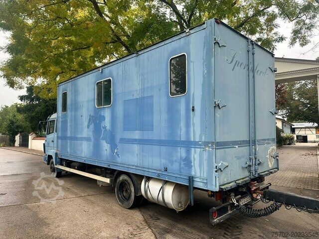 Transportor de animale Mercedes-Benz 817 3-4 Pferde mit Beilharz TAP 8,7 Tandemanh.