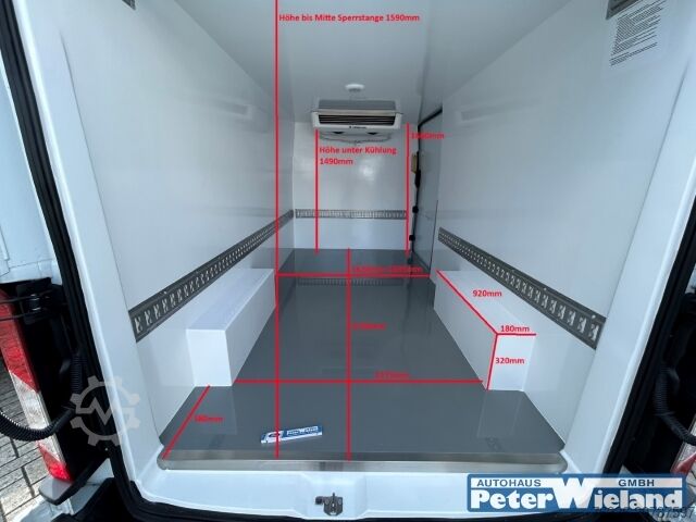 Camion refrigerato Ford Transit Frischdienst Thermoking-Kühlung AHK SHZ Spurhalteass. Rückfahrkam. Temp PDCv+h