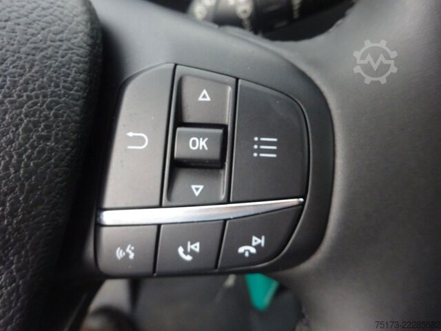 Xe buýt nhỏ FORD Transit Kombi 350 L2H2 Trend Autm SYNC4 ACC Kam