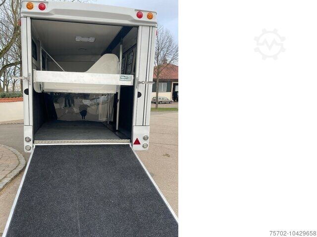 Remorcă pentru transport animale  Steinsberger 3-Pferde mit Bett Modell derfaller