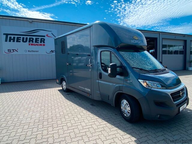 ناقلة مواشي FIAT Ducato Böckmann 2 Pferdetransporter