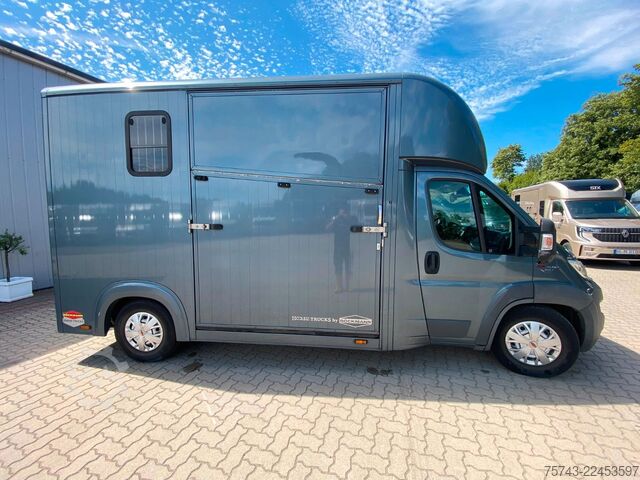 ناقلة مواشي FIAT Ducato Böckmann 2 Pferdetransporter