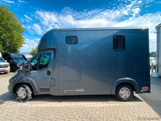 ناقلة مواشي FIAT Ducato Böckmann 2 Pferdetransporter