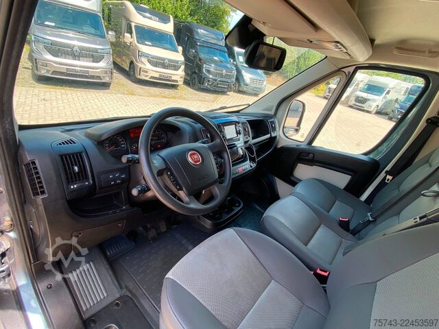 ناقلة مواشي FIAT Ducato Böckmann 2 Pferdetransporter