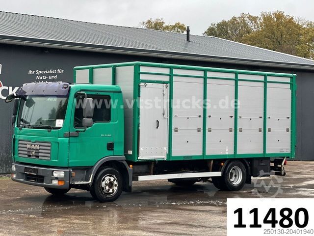 Скотовоз MAN TGL 8.180 4x2 Köstner 1.Stock Viehaufbau