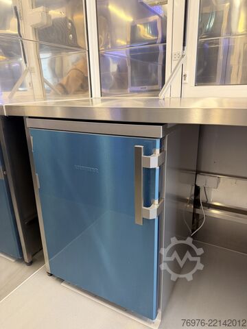 รถจำหน่ายสินค้าเคลื่อนที่ Renault Food Truck, Imbisswagen, NEU, REDUZIERT