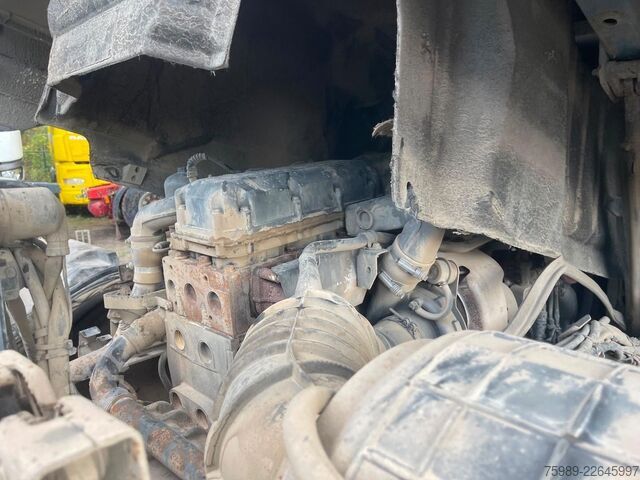 Standard tractor DAF XF 95.530 EURO 4 for Africa. Royal truck!