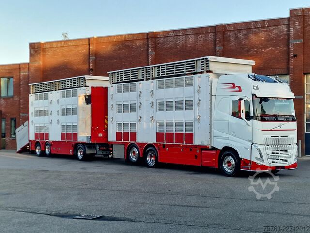 Szarvasmarha-szállítás Volvo FH 13.500 XL 6x2 - Pezzaioli livestock 3 deck +...