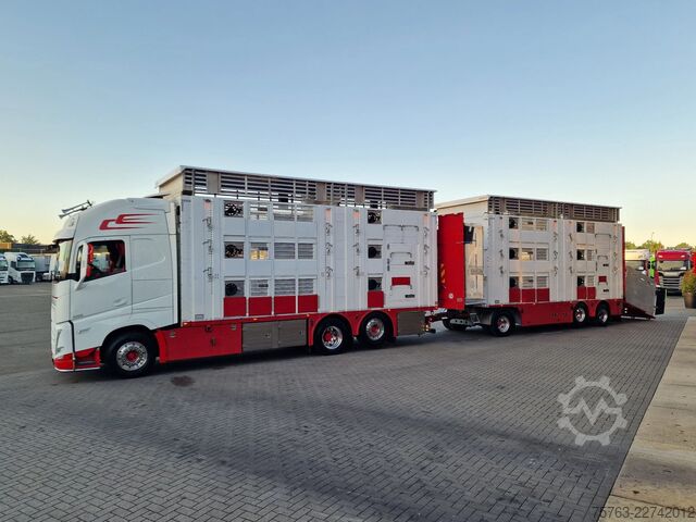 Szarvasmarha-szállítás Volvo FH 13.500 XL 6x2 - Pezzaioli livestock 3 deck +...