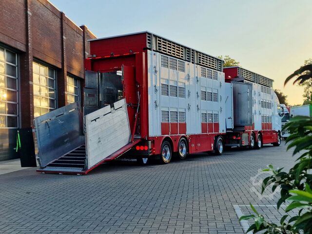 Szarvasmarha-szállítás Volvo FH 13.500 XL 6x2 - Pezzaioli livestock 3 deck +...