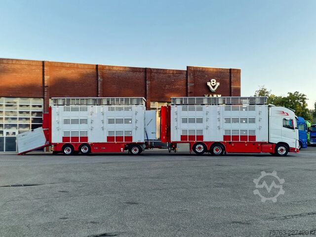 Szarvasmarha-szállítás Volvo FH 13.500 XL 6x2 - Pezzaioli livestock 3 deck +...