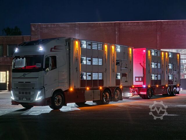Szarvasmarha-szállítás Volvo FH 13.500 XL 6x2 - Pezzaioli livestock 3 deck +...