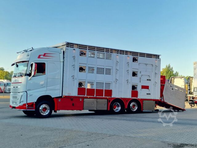 Szarvasmarha-szállítás Volvo FH 13.500 XL 6x2 - Pezzaioli livestock 3 deck +...