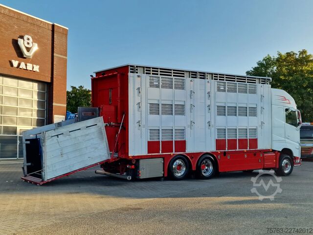 Szarvasmarha-szállítás Volvo FH 13.500 XL 6x2 - Pezzaioli livestock 3 deck +...