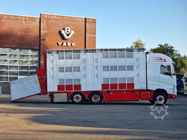 Szarvasmarha-szállítás Volvo FH 13.500 XL 6x2 - Pezzaioli livestock 3 deck +...