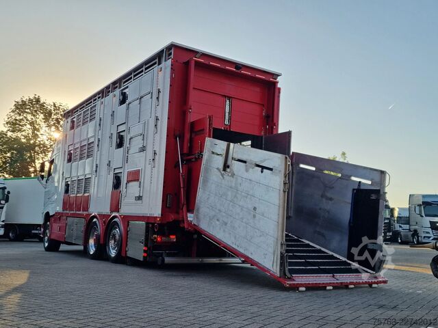 Szarvasmarha-szállítás Volvo FH 13.500 XL 6x2 - Pezzaioli livestock 3 deck +...