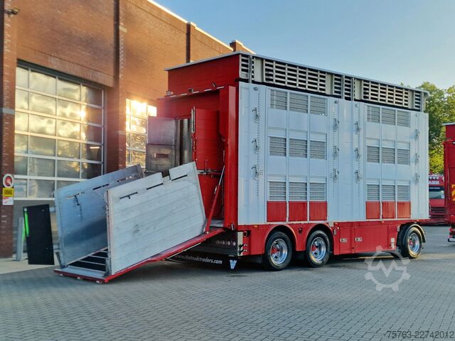 Szarvasmarha-szállítás Volvo FH 13.500 XL 6x2 - Pezzaioli livestock 3 deck +...