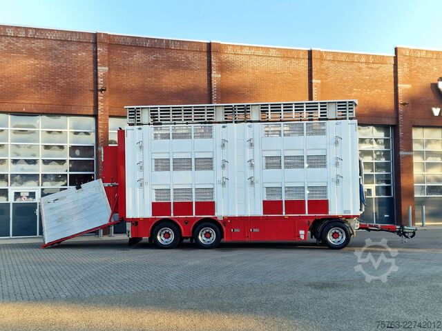 Szarvasmarha-szállítás Volvo FH 13.500 XL 6x2 - Pezzaioli livestock 3 deck +...