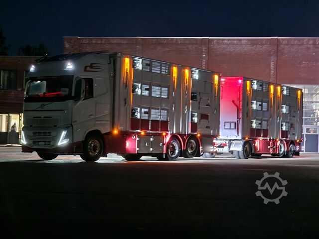 Szarvasmarha-szállítás Volvo FH 13.500 XL 6x2 - Pezzaioli livestock 3 deck +...