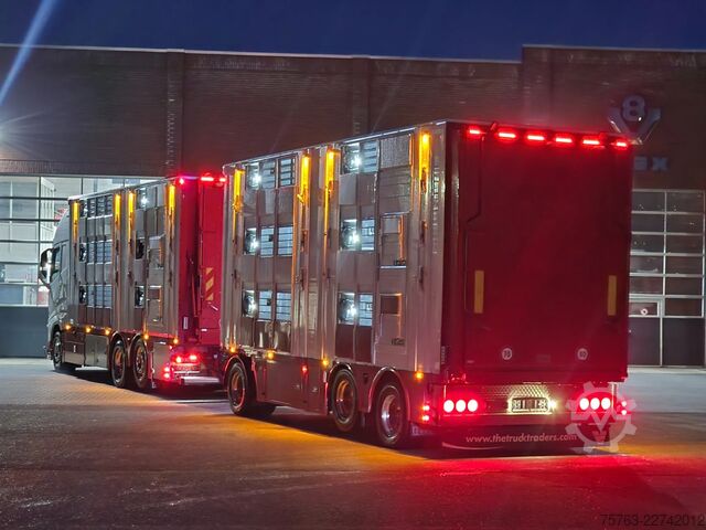 Szarvasmarha-szállítás Volvo FH 13.500 XL 6x2 - Pezzaioli livestock 3 deck +...