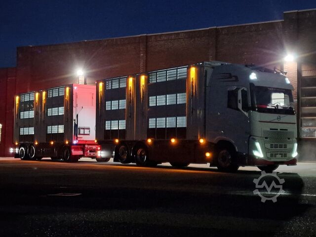 Szarvasmarha-szállítás Volvo FH 13.500 XL 6x2 - Pezzaioli livestock 3 deck +...