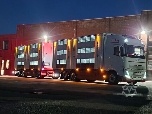 Szarvasmarha-szállítás Volvo FH 13.500 XL 6x2 - Pezzaioli livestock 3 deck +...