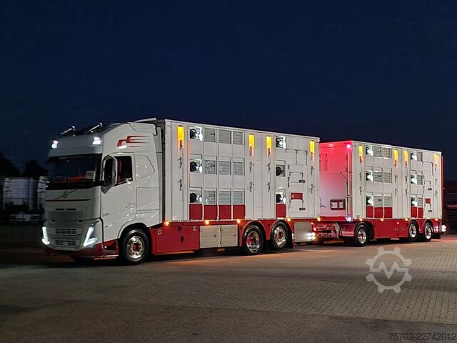 Szarvasmarha-szállítás Volvo FH 13.500 XL 6x2 - Pezzaioli livestock 3 deck +...