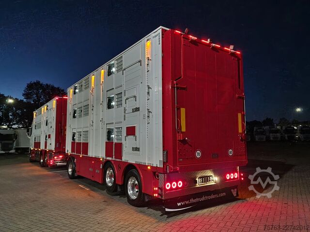 Szarvasmarha-szállítás Volvo FH 13.500 XL 6x2 - Pezzaioli livestock 3 deck +...