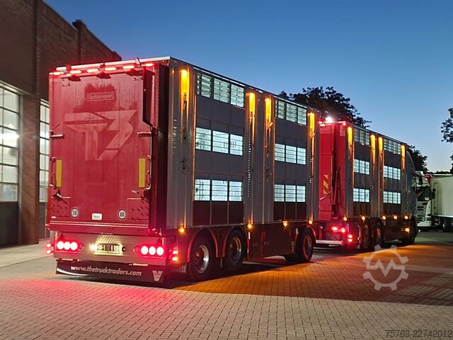 Szarvasmarha-szállítás Volvo FH 13.500 XL 6x2 - Pezzaioli livestock 3 deck +...