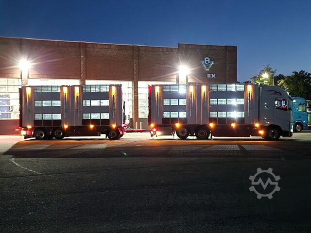 Szarvasmarha-szállítás Volvo FH 13.500 XL 6x2 - Pezzaioli livestock 3 deck +...