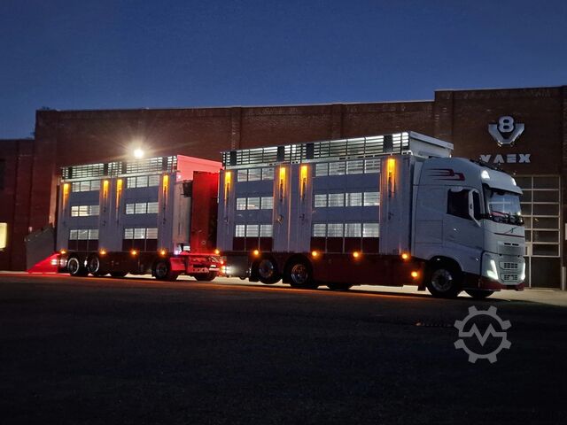 Szarvasmarha-szállítás Volvo FH 13.500 XL 6x2 - Pezzaioli livestock 3 deck +...