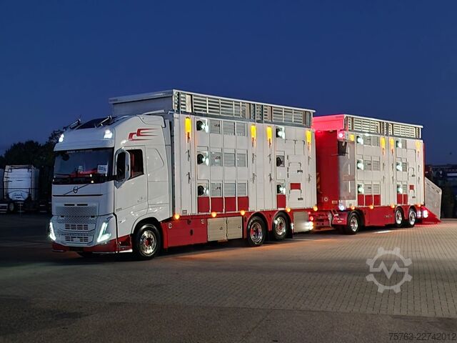 Szarvasmarha-szállítás Volvo FH 13.500 XL 6x2 - Pezzaioli livestock 3 deck +...