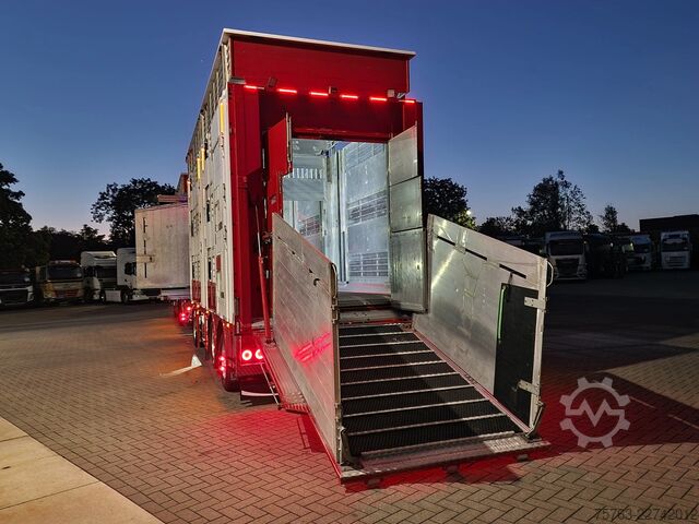 Szarvasmarha-szállítás Volvo FH 13.500 XL 6x2 - Pezzaioli livestock 3 deck +...