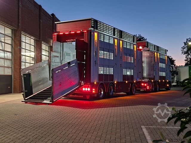 Szarvasmarha-szállítás Volvo FH 13.500 XL 6x2 - Pezzaioli livestock 3 deck +...