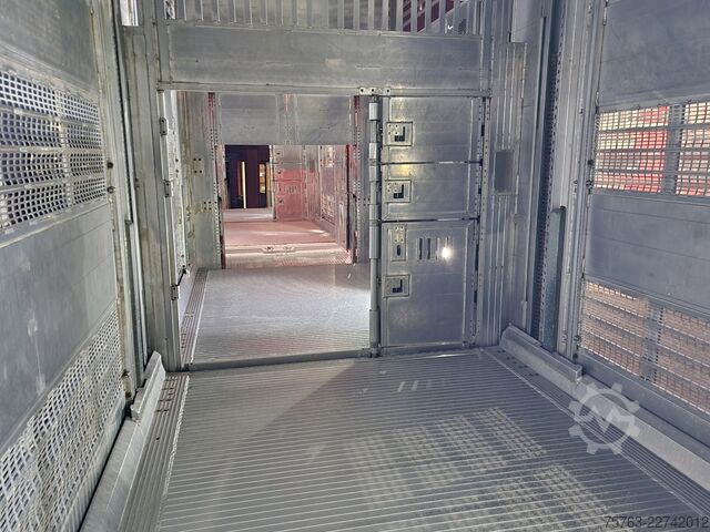 Szarvasmarha-szállítás Volvo FH 13.500 XL 6x2 - Pezzaioli livestock 3 deck +...