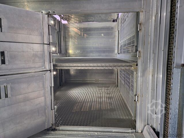 Szarvasmarha-szállítás Volvo FH 13.500 XL 6x2 - Pezzaioli livestock 3 deck +...