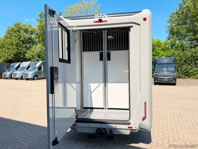 Transporteur de bétail RENAULT Master STX 5 Sitzer Haras ex. Lang Automatik