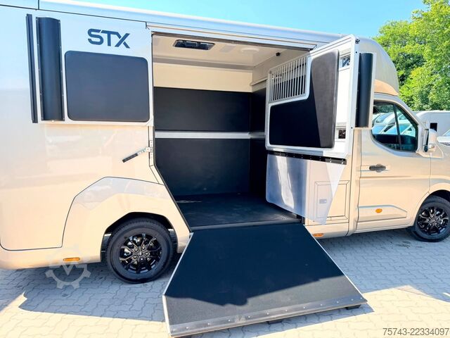 Transporteur de bétail RENAULT Master STX 5 Sitzer Haras ex. Lang Automatik