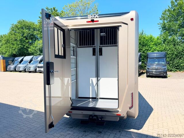 Transporteur de bétail RENAULT Master STX 5 Sitzer Haras ex. Lang Automatik