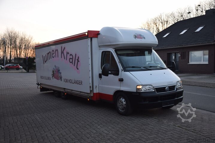 Furgão Fiat 2,8 TDI Blumen Verkaufswagen Heizung Klima