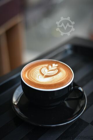 Machine à café professionnelle De Jong De Jong DUKE