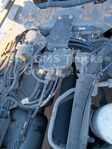 大容积牵引车头 DAF XF 460 / SSC / Mega / German