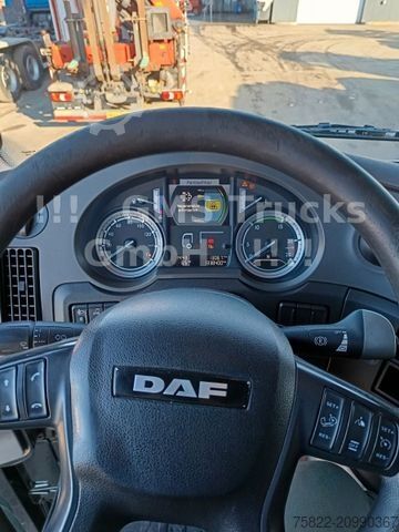 大容积牵引车头 DAF XF 460 / SSC / Mega / German