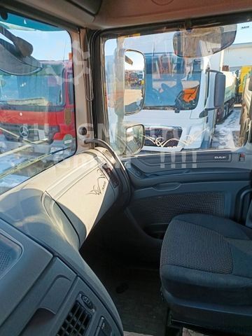 大容积牵引车头 DAF XF 460 / SSC / Mega / German